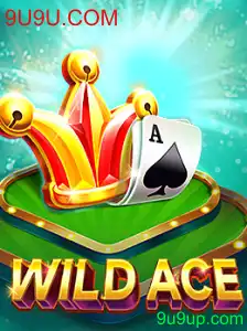 Explorando o Mundo de WildAce: Um Guia Completo